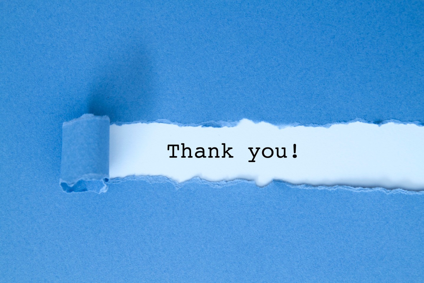 Thank you message under blue torn paper.