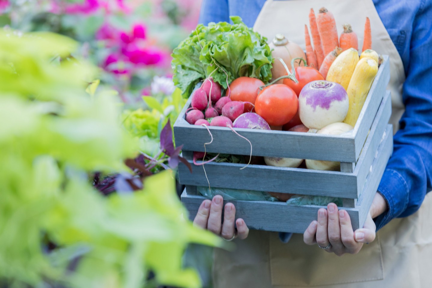 Unrecognizable woman holds basket of fresh veggies||