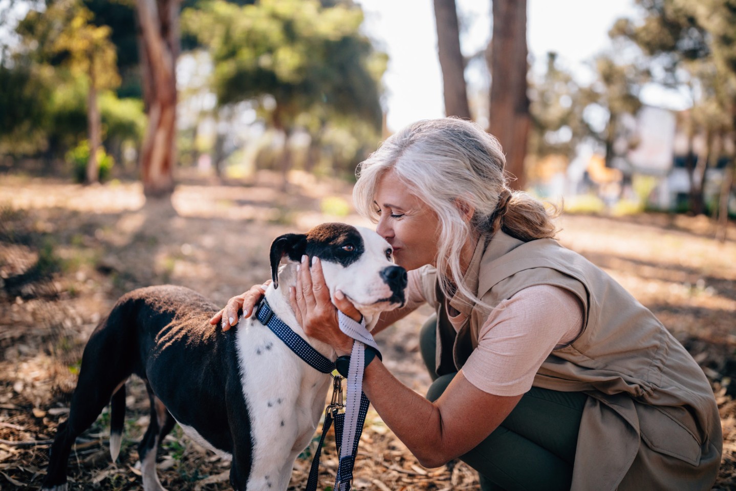 Fashionable senior woman kissing pet dog in nature||Portrait of beautiful elderly couple in market