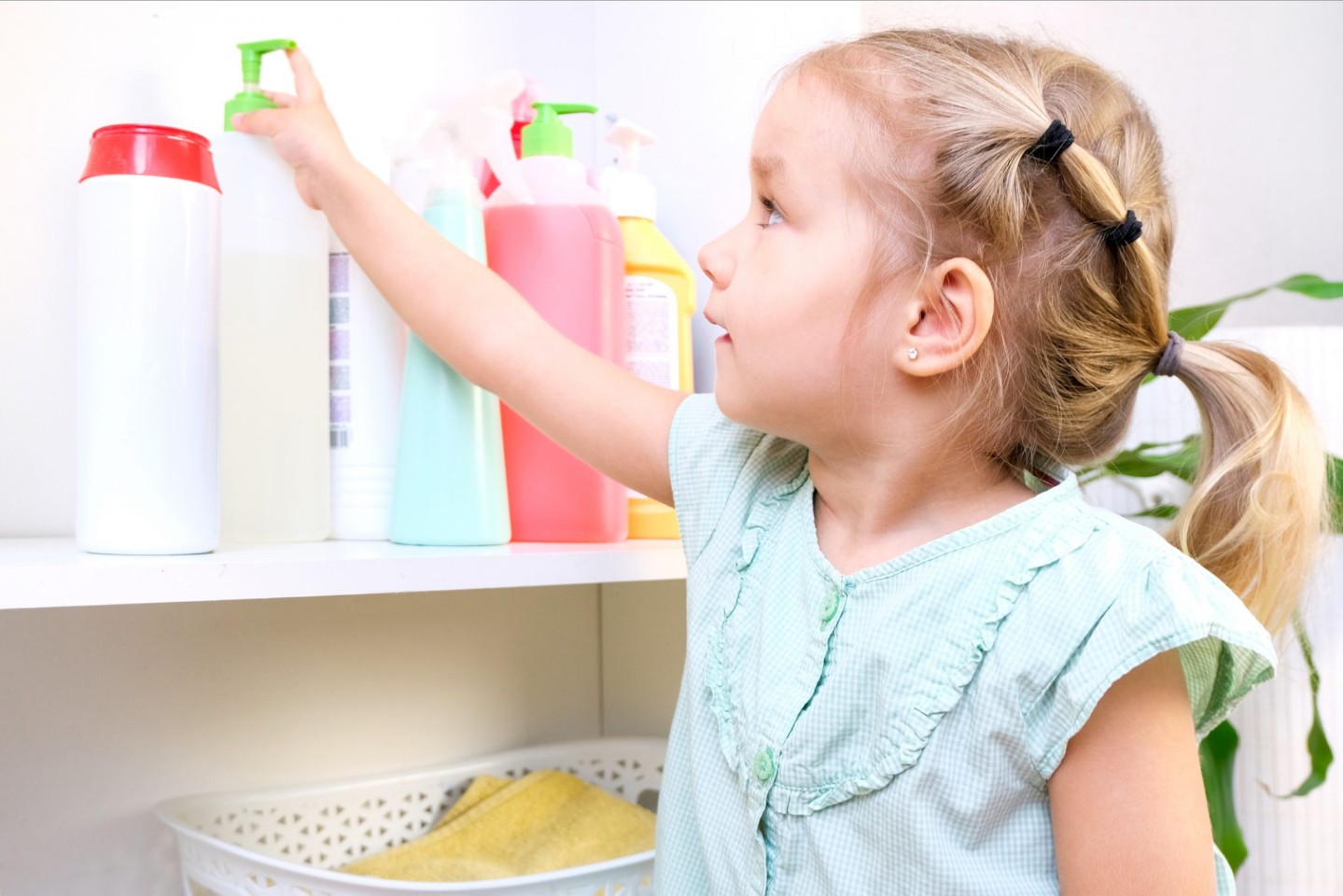 Toddler touches bottles of household chemicals, household cleaning products.